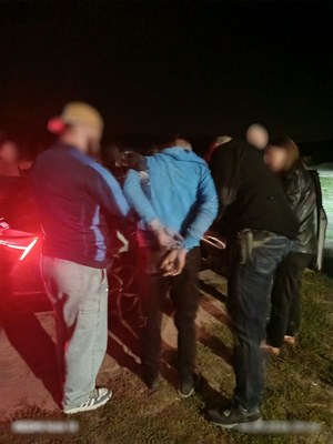 Policjanci prowadzą zatrzymanego - widok z tyłu.