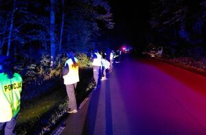 Policjanci na drodze przy lesie.