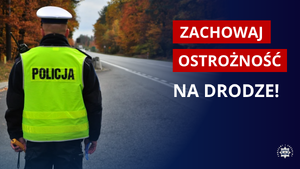 grafika z policjantem stojącym obok drogi.