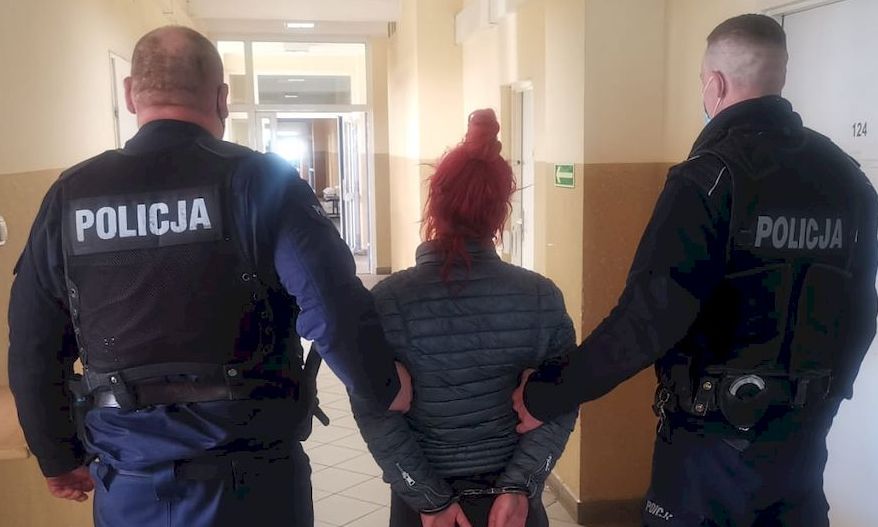 Kryminalni Zatrzymali Kobietę Podejrzaną O Zabicie Kota Policjapl Portal Polskiej Policji 4456