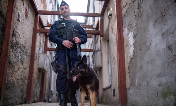 Zostań jednym z nas - przewodnik psa służbowego - Policja.pl - Portal