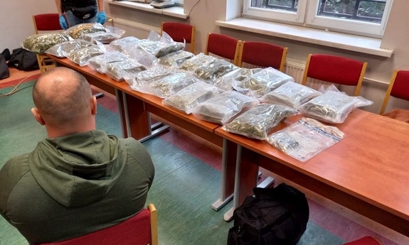 Mocne uderzenie w narkobiznes – ponad 12 kg marihuany nie trafi na dolnośląski czarny rynek