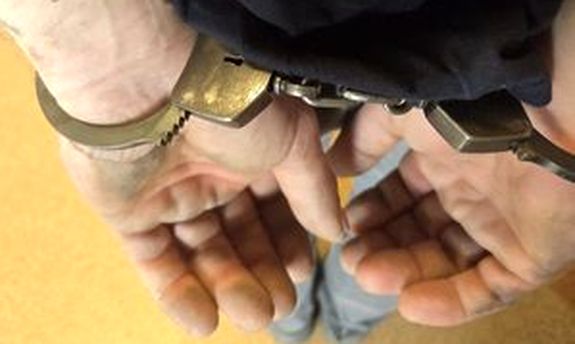 Zatrzymany za znęcanie się nad zwierzęciem - usłyszał zarzuty i dobrowolnie poddał się karze