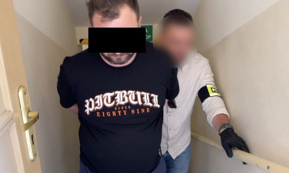 Sutenerzy zatrzymani podczas policyjnej realizacji