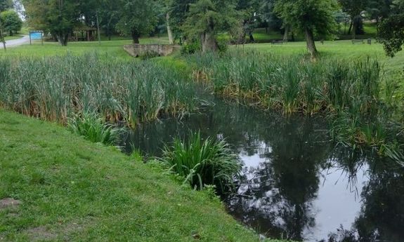 Wyciągnęli mężczyznę ze zbiornika wodnego