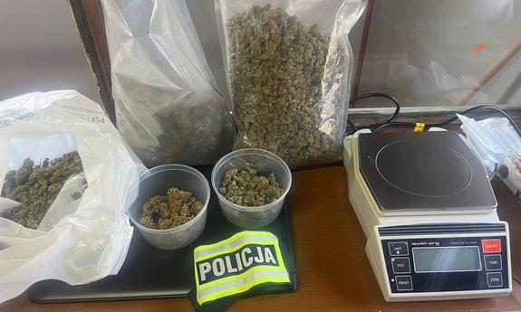 73-letni recydywista wraz 37-letnim wspólnikiem uprawiali konopie indyjskie