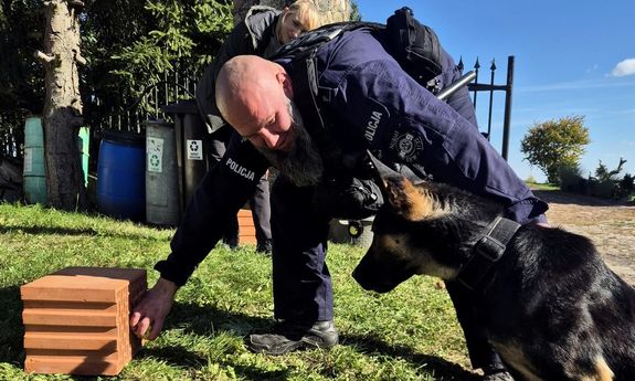 Doskonalenie umiejętności policyjnych psów w zakresie wykrywania materiałów wybuchowych