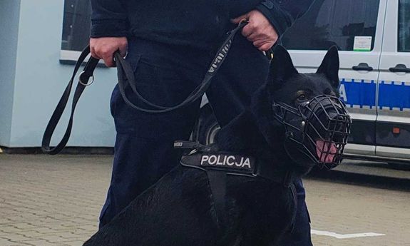 Policyjny pies na ratunek mężczyźnie w kryzysie emocjonalnym