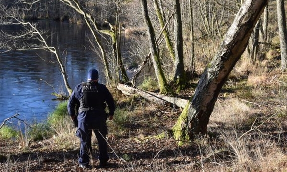 Odpowie za zabicie psów
