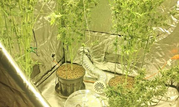 Policjanci z Bielska-Białej zabezpieczyli ponad 5 kg narkotyków