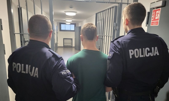 Areszt na trzy miesiące za kradzież TIR-a i inne przestępstwa