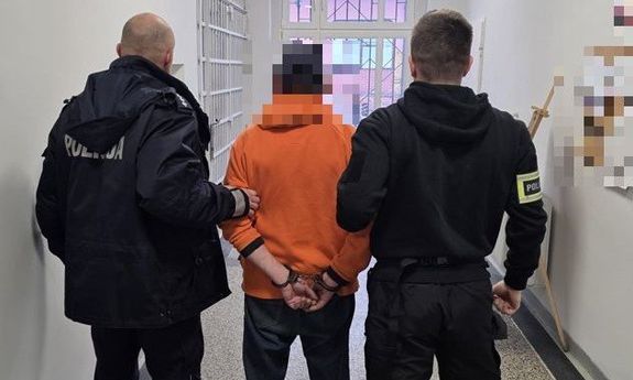 Zarzuty za usiłowanie uprowadzenia małoletniej dziewczynki