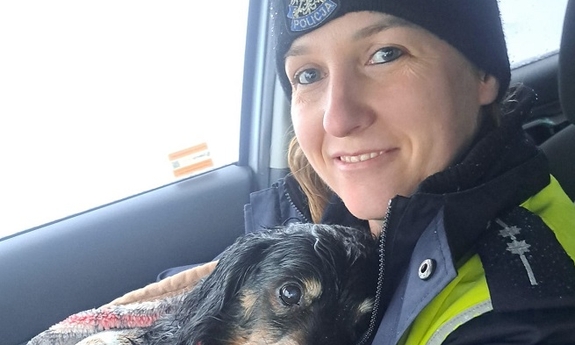 Nie pozostali obojętni wobec potrąconego przez auto i powoli zamarzającego psa