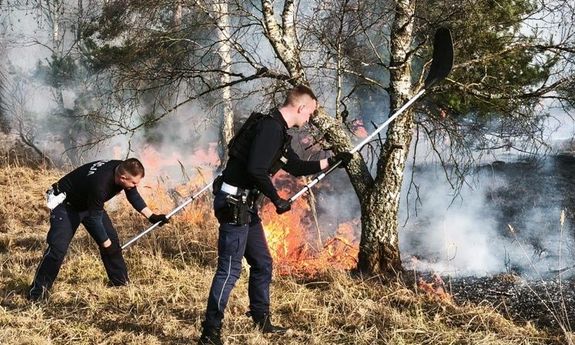 Policyjny patrol ruszył do płonących traw i pomógł powstrzymać rozprzestrzeniający się pożar