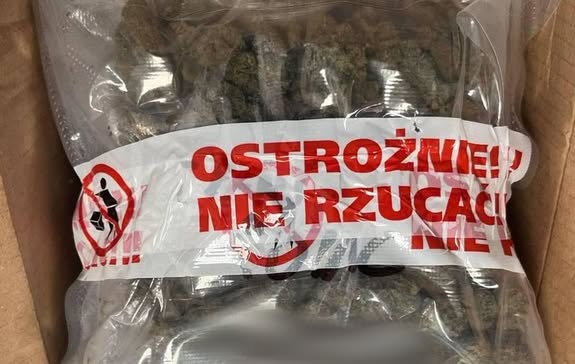 Ponad 20 kg środków odurzających i substancji psychotropowych nie trafi na polski rynek