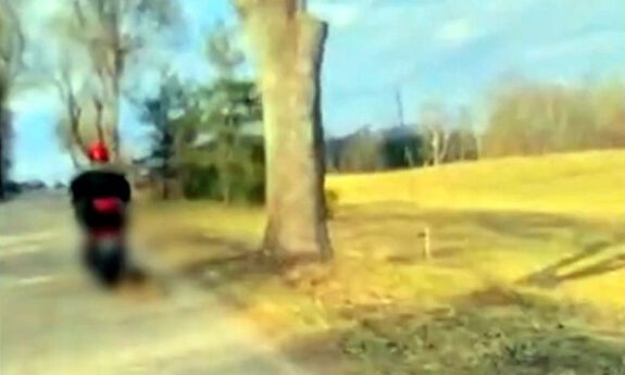 Ciągnął psa za motorowerem. Zwierzę nie przeżyło. 72-latek został zatrzymany