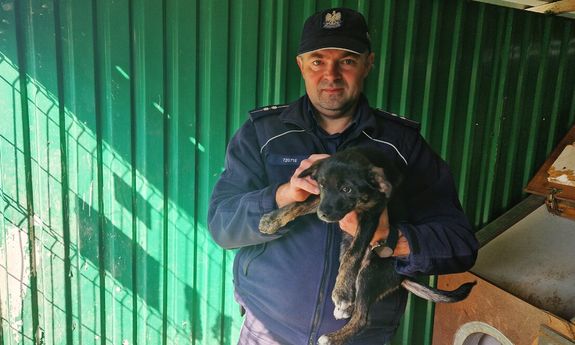 79-latek umieścił szczeniaka w worku i podrzucił na cudzą posesję