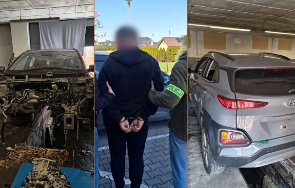 Zlikwidowana dziupla samochodowa