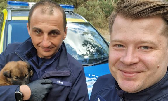 Porzucone szczenięta w lesie. Na pomoc ruszyli dzielnicowi