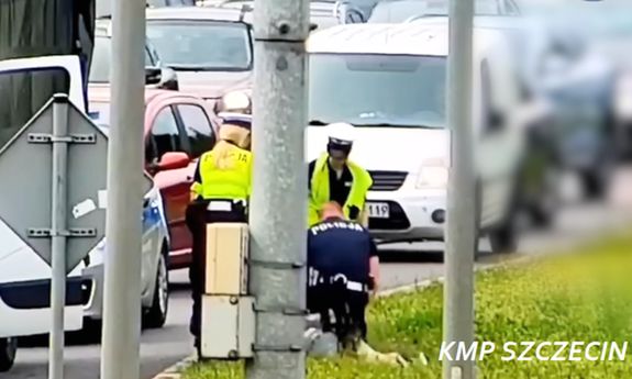 Zatrzymanie sprawcy krótkotrwałego użycia pojazdu w Szczecinie