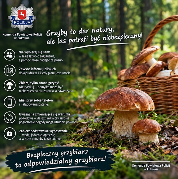 Szczęśliwy finał poszukiwań 67-letniego grzybiarza