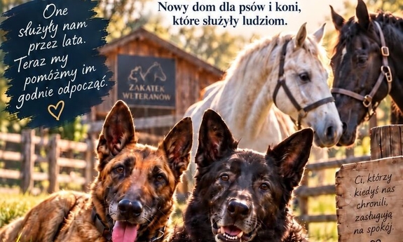 Zbiórka na budowę nowej siedziby "Zakątka Weteranów"
