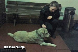 policjantka głaszczę psa