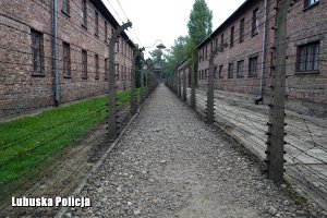 Teren byłego obozu koncentracyjnego Auschwitz Birkenau.