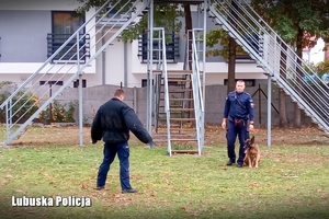 Pokaz tresury psów patrolowych