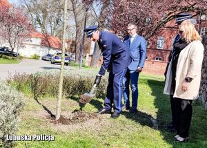 Policjant podczas sadzenia dębu.