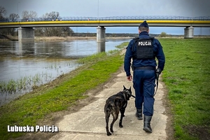 policyjny przewodnik ze swoim psem podczas patrolu