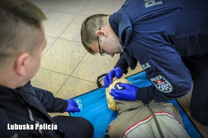 policjanci prowadzą pierwszą pomoc medyczną na manekinie