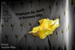 Kwiatek na tle napisu Hospicjum Świętego Kamila w Gorzowie Wielkopolskim.