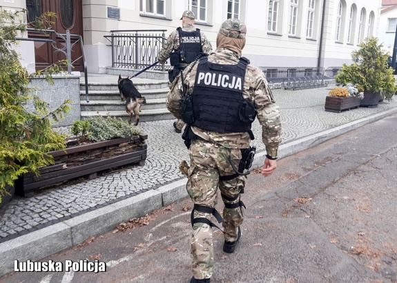 Policjanci wchodzą wraz z psem służbowym do budynku uczelni.