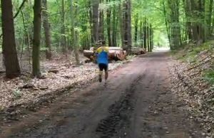 Mężczyzna biegnie w lesie