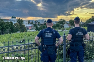 policjanci obserwują miasto