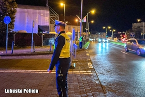 policjant stoi na drodze