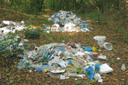 Wysypisko śmieci w lesie