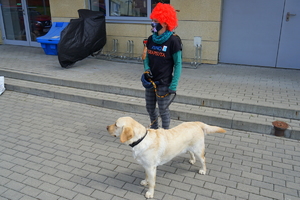 przewodnik stoi z psem
