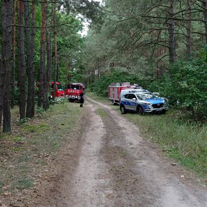 Radiowozy i wóz strażacki stoją w lesie