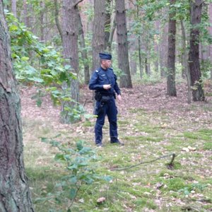 Policjant w moro stoi w lesie i się rozgląda