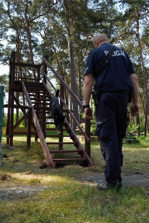 Policjant i pies służbowy na przeszkodzie-schodach.