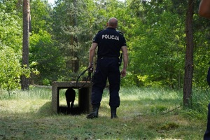 Policjant z psem, który chowa się w przeszkodzie.
