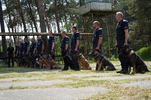 Policjanci z psami stojący na placu w rzędzie.