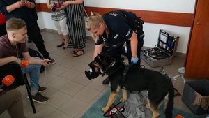 Pies policyjny podczas prezentacji tropienia.