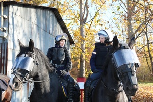 Policjant i strażnik miejski na koniach.