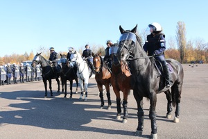 Policjanci i strażnicy na koniach stoją i omawiają przebieg ćwiczenia.