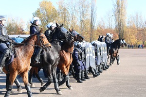 Policjanci i konie idą w jednym szeregu.