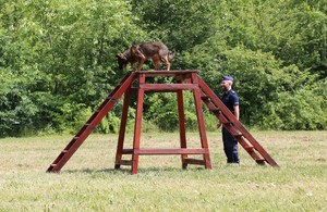 Policjant z psem służbowym w trakcie zmagań konkursowych.