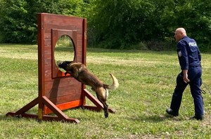 Policjant z psem służbowym w trakcie zmagań konkursowych.